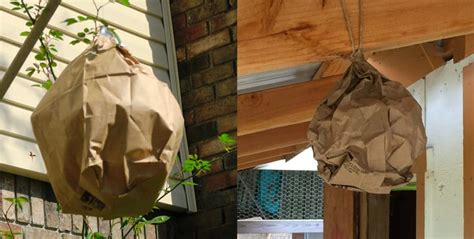 fake wasp nest paper bag|paper bags and wasp nests.